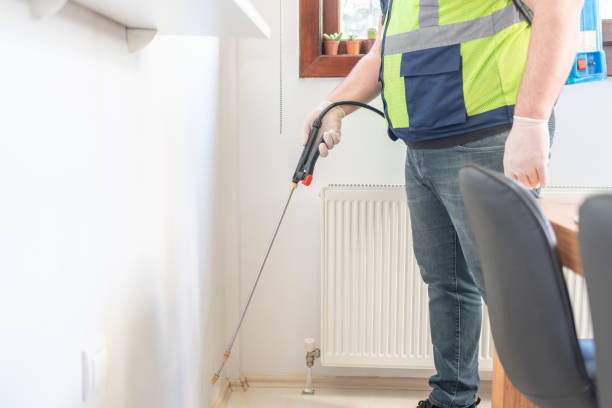 Best Flea Control Services  in Fort Myers Beach, FL