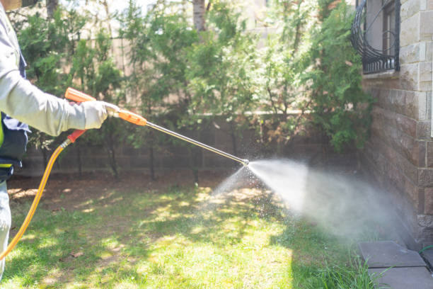 Best Pest Control Near Me in Fort Myers Beach, FL