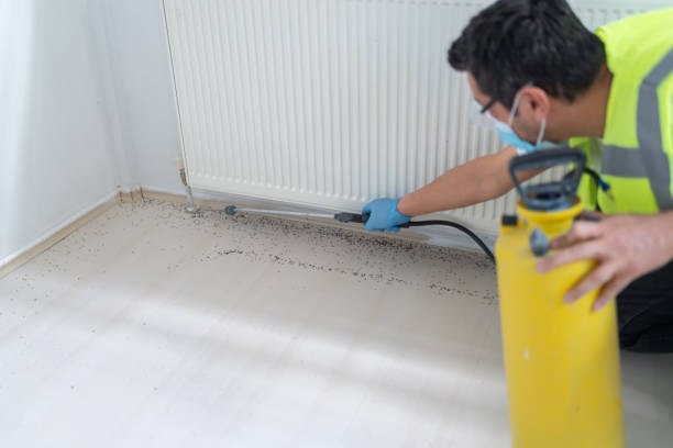 Best Local Pest Control Services  in Fort Myers Beach, FL