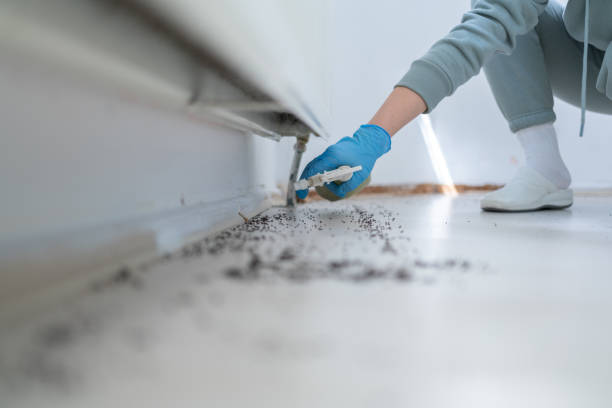 Reliable Fort Myers Beach, FL Pest Control Solutions