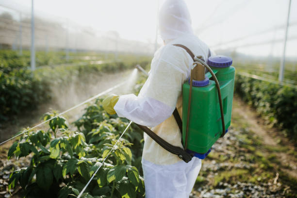 Best Residential Pest Control  in Fort Myers Beach, FL